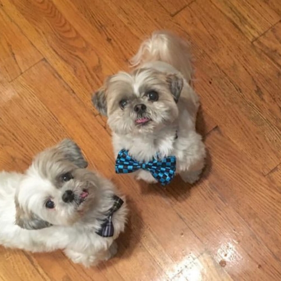 Meet your Posher, Kathleen - Picture 2 of 3